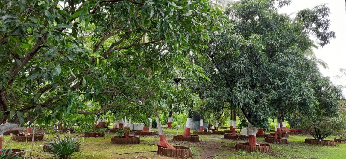 Prajakta Rest House อลีบาก ภายนอก รูปภาพ