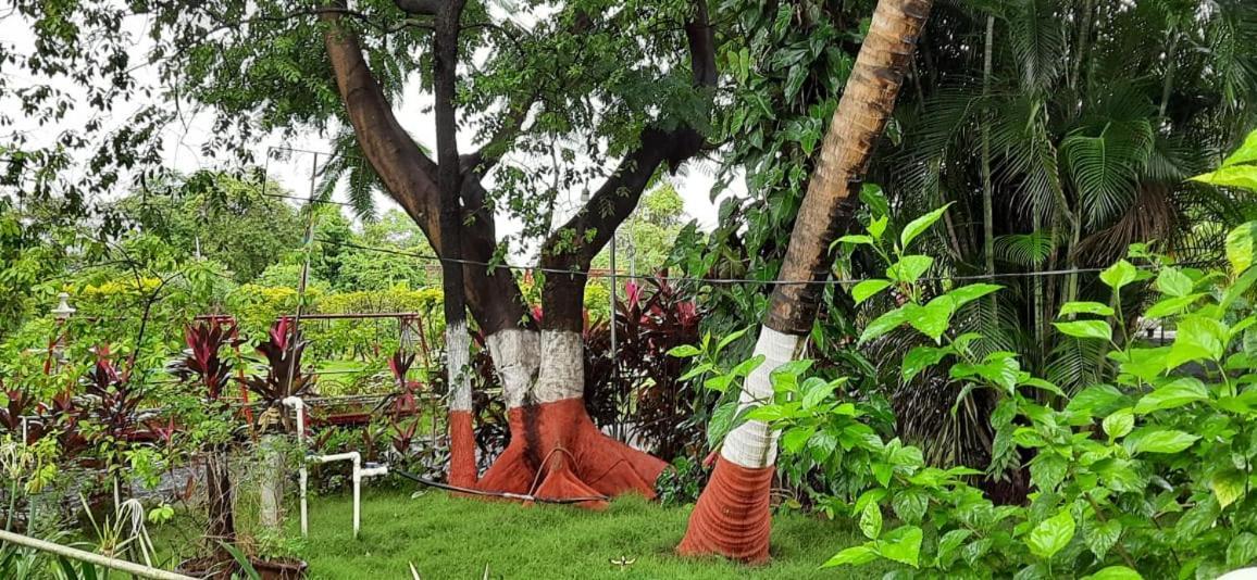 Prajakta Rest House อลีบาก ภายนอก รูปภาพ